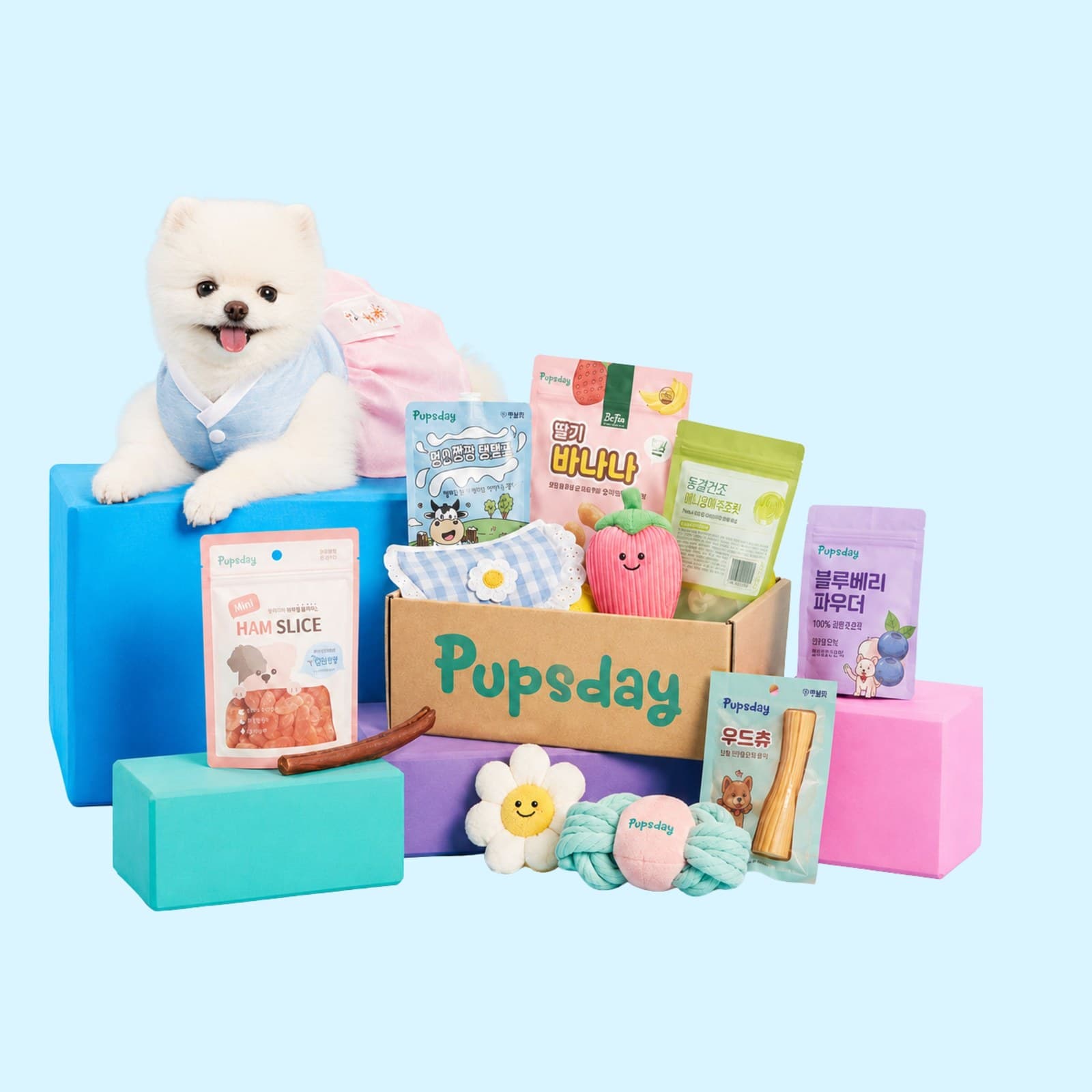The Pupsday Korean Treat Box