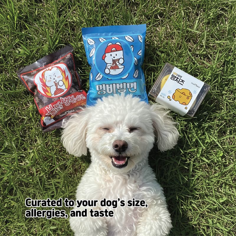 Dog Ramen Box