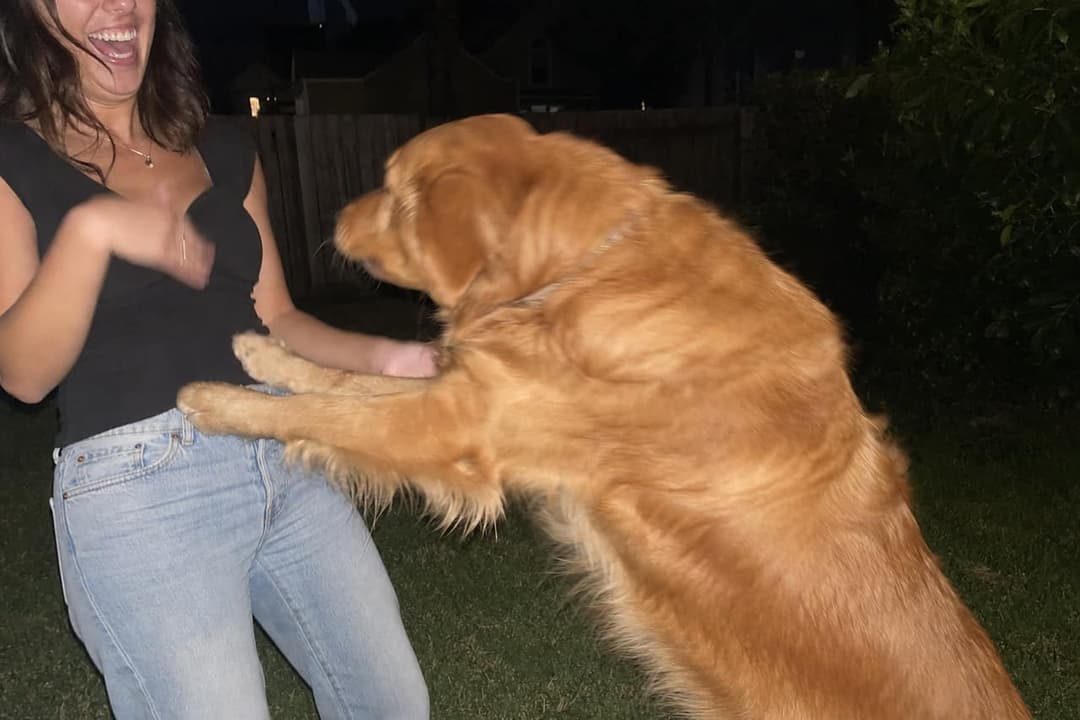 Charlie with their human