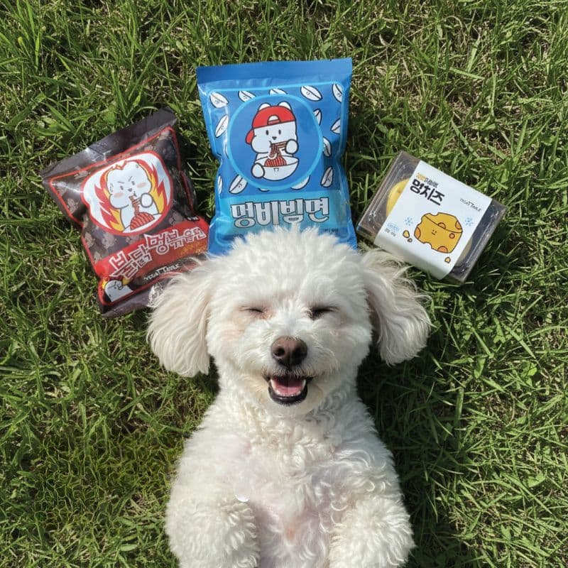 Real dog-on-grass photo with the ramen-themed treats.