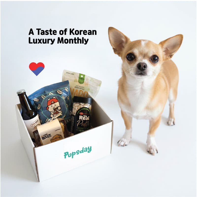 A real Korean Treat Box set, shot in studio with a small dog.