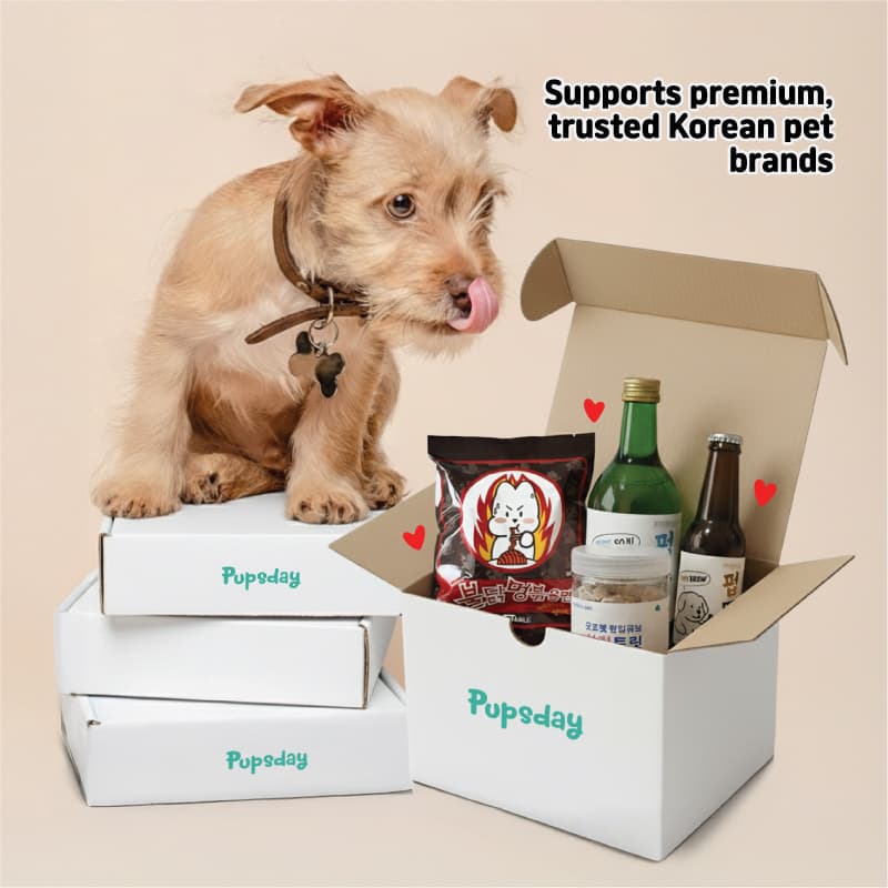 Premium Korean Brands Box